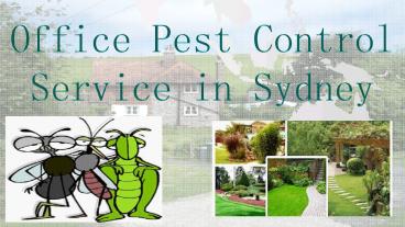 Office Pest Control Service in Sydney