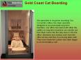 Gold Coast Cat Boarding PowerPoint PPT Presentation