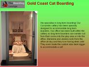 Gold Coast Cat Boarding