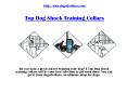 Top Dog shock training collar PowerPoint PPT Presentation