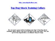 Top Dog shock training collar