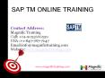 SAP TM ONLINR TRAINING IN AUSTRALIA|SOUTH AFRICA|MALAYSIA PowerPoint PPT Presentation
