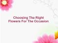Choosing The Right Flowers For The Occasion PowerPoint PPT Presentation