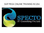 sap pega online training in usa