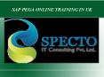 sap pega online training in uk PowerPoint PPT Presentation