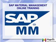 SAP MM online training in Austin|Austriya