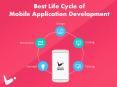Best Mobile Application Development Process PowerPoint PPT Presentation