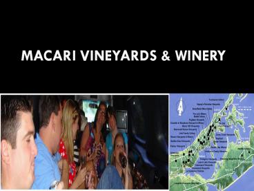 Macari Vineyards & Winery