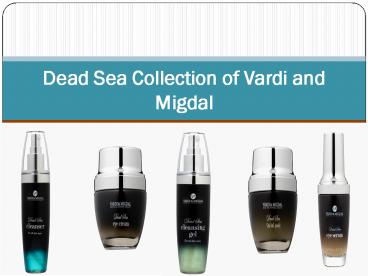 Dead Sea Collection of Vardi and Migdal