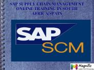 SAP SCM online training in South africa|spain