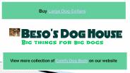 Comfy Dog Beds