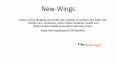 Newwings - online shopping store PowerPoint PPT Presentation