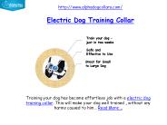 electric dog training collar