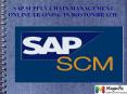SAP SCM online training in Boston|Brazill PowerPoint PPT Presentation