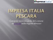 Impresa Italia Pescara