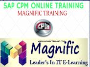 Sap Commercial Project Management Online Training in Australia