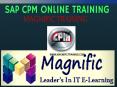 Sap Commercial Project Management Online Training in UK PowerPoint PPT Presentation