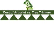 Cost of Arborist vs. Tree Trimmer