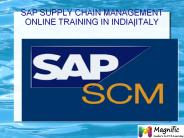SAP SCM online training in India|Italy