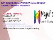 Sap Commercial Project Management Online Training in USA