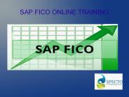sap FICO onlinetraining in Korea
