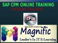 Sap Commercial Project Management Online Training in UK PowerPoint PPT Presentation