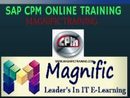 Sap CPM Online Training in UK