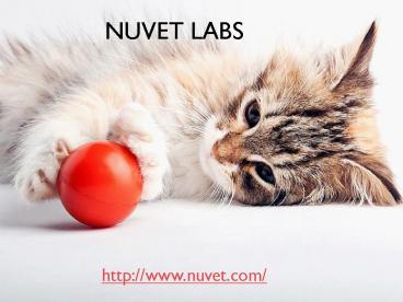 Nuvet Labs - NuVet Plus Reviews - Nuvet Labs Reviews