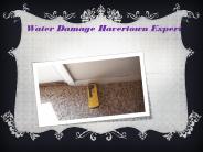 Water Damage Havertown Expert