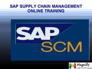 SAP SCM online training in France|Florida