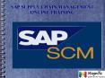 SAP SCM ONLINE training in DC|Denmark PowerPoint PPT Presentation
