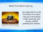 Batch Twin Spirit Lupyong (1)
