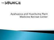Ayahuasca Plant Medicine