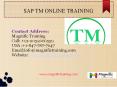 SAP TM ONLINE TRAINING IN USA|UK|CANADA (1) PowerPoint PPT Presentation