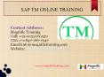 SAP TM ONLINE TRAINING IN AUSTRALIA|SOUTH AFRICA|CANADA PowerPoint PPT Presentation