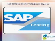 sap testing online training in Malaysia