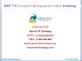 sap tm(transport management) online training in usa PowerPoint PPT Presentation