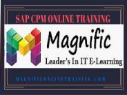 Sap CPM Online Training in Singapore|USA