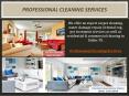Professional Cleaning Services PowerPoint PPT Presentation