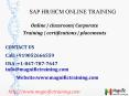 SAP HR/HCM ONLINE TRAINING IN USA|UK|9052666559 PowerPoint PPT Presentation