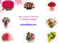 Fast, Express Delivery Florists Services in Jaipur PowerPoint PPT Presentation