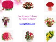 Fast, Express Delivery Florists Services in Jaipur
