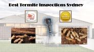 Best Termite inspections Sydney