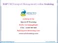 sap tm(transport management)online training in usa,uk PowerPoint PPT Presentation