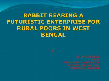 Rabbit Rearing presentation | free to download