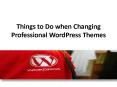 Things to Do when Changing Professional WordPress Themes PowerPoint PPT Presentation