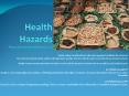 Health Hazards- http://www.healthhazards.in PowerPoint PPT Presentation
