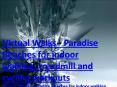 Virtual Walks - Paradise Beaches for indoor walking, treadmill and cycling workouts PowerPoint PPT Presentation