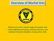 Overview of Martial Arts