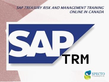 SAP TREASURY RISK AND MANAGEMENT TRAINING ONLINE IN CANADA